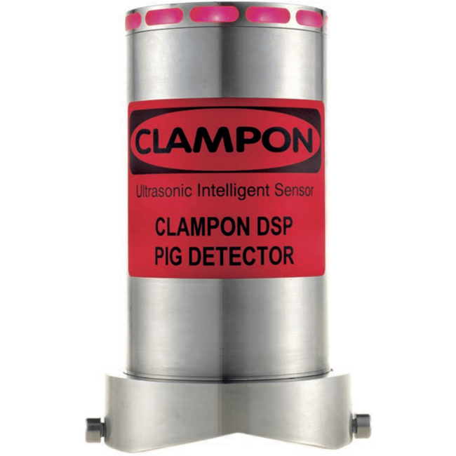 ClampOn Detector, DSP PIG